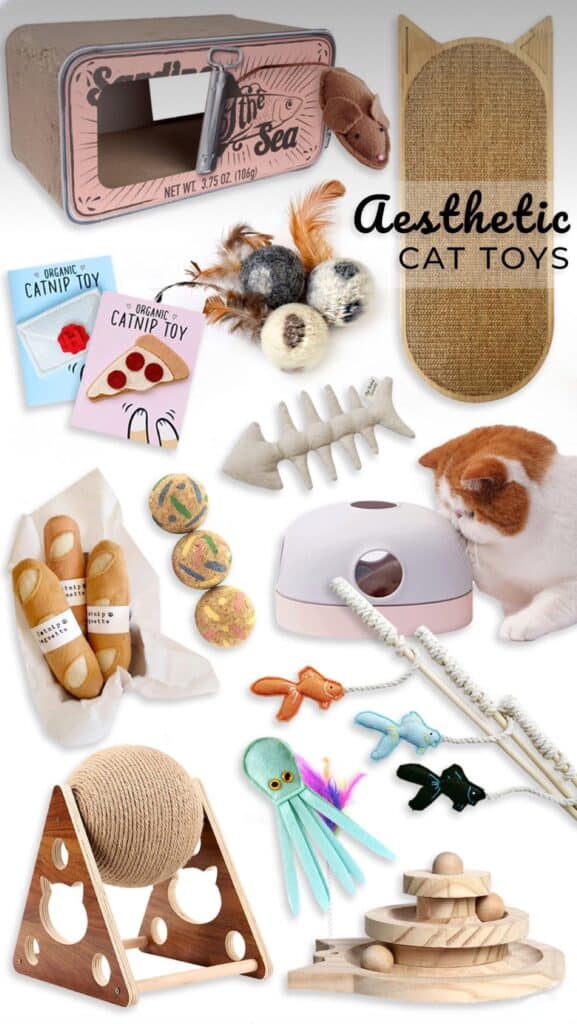 accesoire-jeux-chats