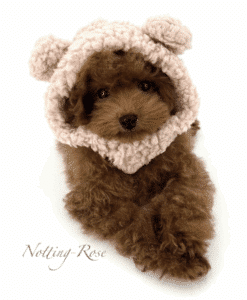 Capture d’écran 2025-10-07 à 15.21.24