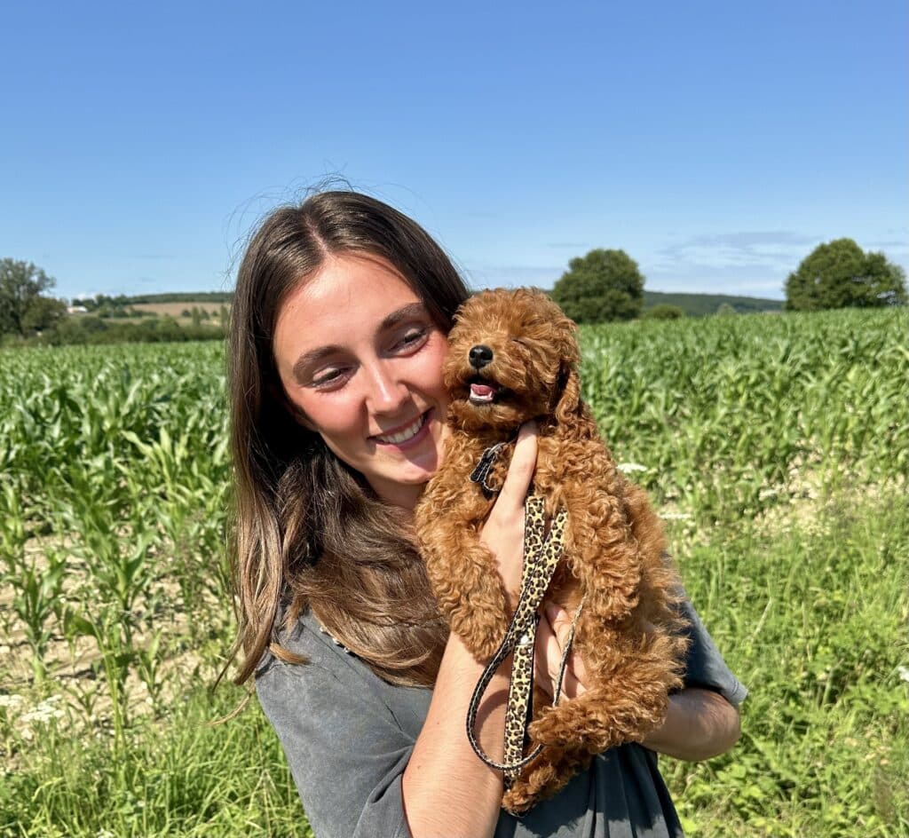 éleveuse de caniches toy et nain lof