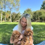 éleveur de caniches toy et nain abricot