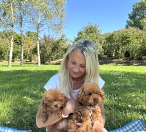 éleveur de caniches toy et nain abricot