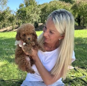 éleveur de caniches