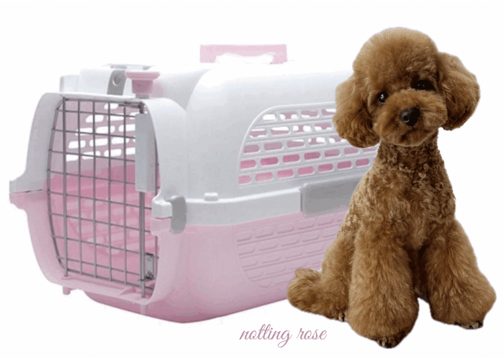 sac-de-transport-caniche