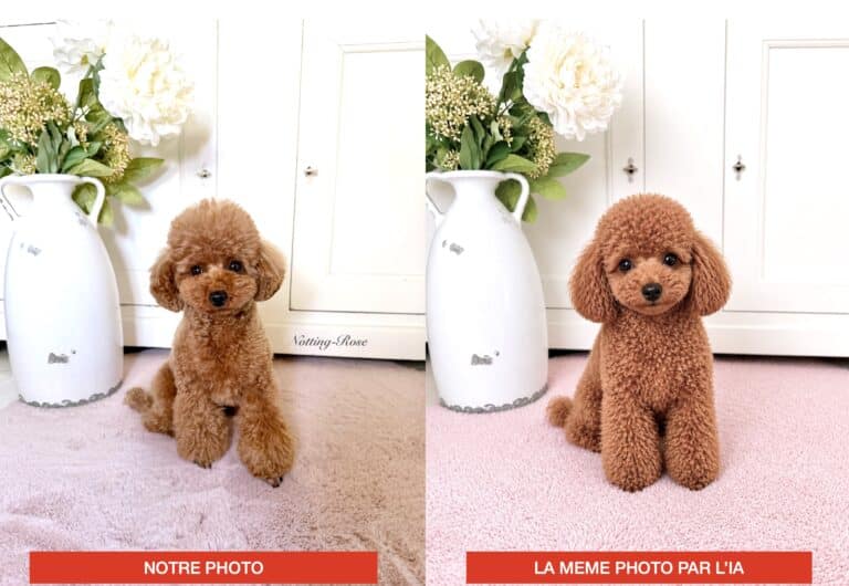 L’IA (Intelligence Artificielle) dans le domaine du chien